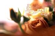 سالروز پیوند آسمانی امیرمومنان حضرت علی(ع) و صدیقه کبری حضرت فاطمه زهرا(س) تهنیت باد